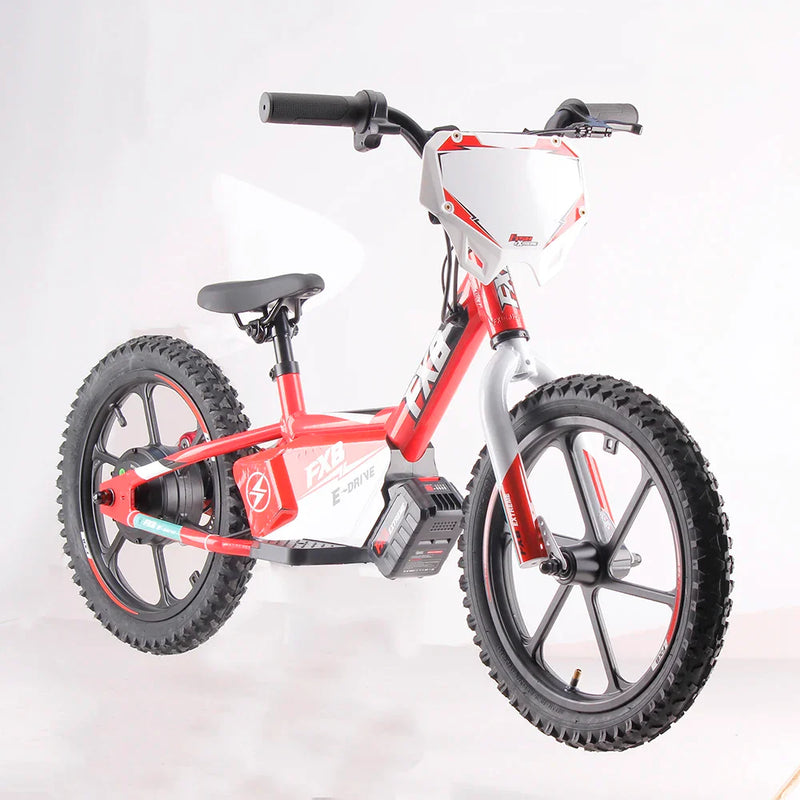 HKM-859091 12-Inch Lithium Battery Electric Kids Bike with 16-Inch Wheels and No Pedals, Steel Fork, and Alloy Frame