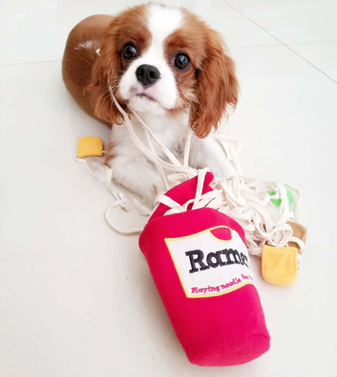 HKM-8601405 Interactive Plush Pet Sniffing Toy for Dogs - Cute Food Leaking Design, 13cm