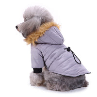 HKM-8617405 Winter Pet Clothing in Green, Grey, and Red - Warm Polyester Options Available in S, M, L, XL