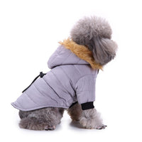 HKM-8617405 Winter Pet Clothing in Green, Grey, and Red - Warm Polyester Options Available in S, M, L, XL