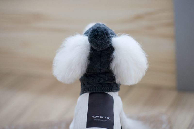 HKM-8618045 Cozy Dog Hat and Scarf Set for Autumn and Winter - Suitable for Small to Medium Breeds