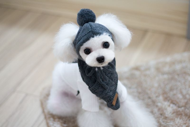 HKM-8618045 Cozy Dog Hat and Scarf Set for Autumn and Winter - Suitable for Small to Medium Breeds
