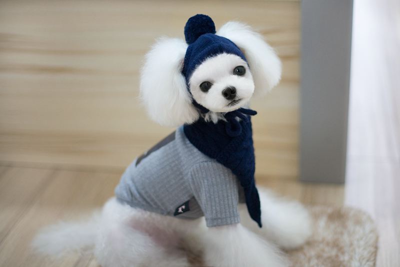 HKM-8618045 Cozy Dog Hat and Scarf Set for Autumn and Winter - Suitable for Small to Medium Breeds