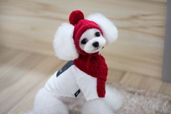 HKM-8618045 Cozy Dog Hat and Scarf Set for Autumn and Winter - Suitable for Small to Medium Breeds