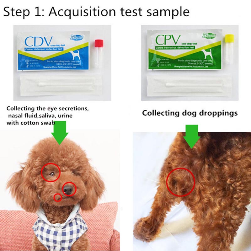 HKM-8620861 Canine Distemper and Parvovirus Test Kit for Accurate Pet Health Assessment
