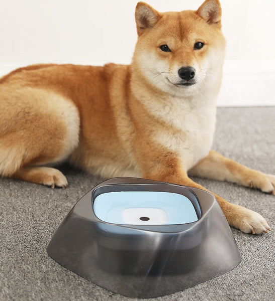 HKM-8624957 No-Spill Anti-Overflow Dog Bowl with Arch Shape Design and Large Capacity for Clean Drinking Water