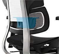 HKM-863571 Ergonomic Swivel Office Chair with High Back and Mesh Design, Model SM008ED-A