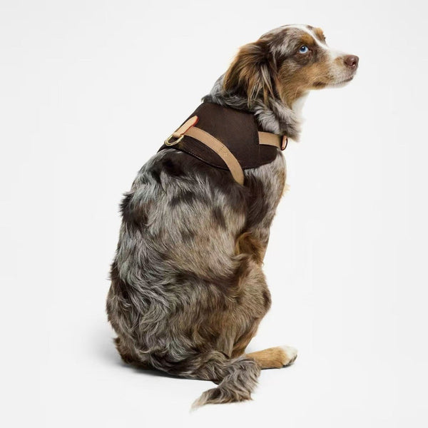 HKM-8639549 Coffee Floral Leather Pet Harness - Size S & M, Adjustable for All Seasons