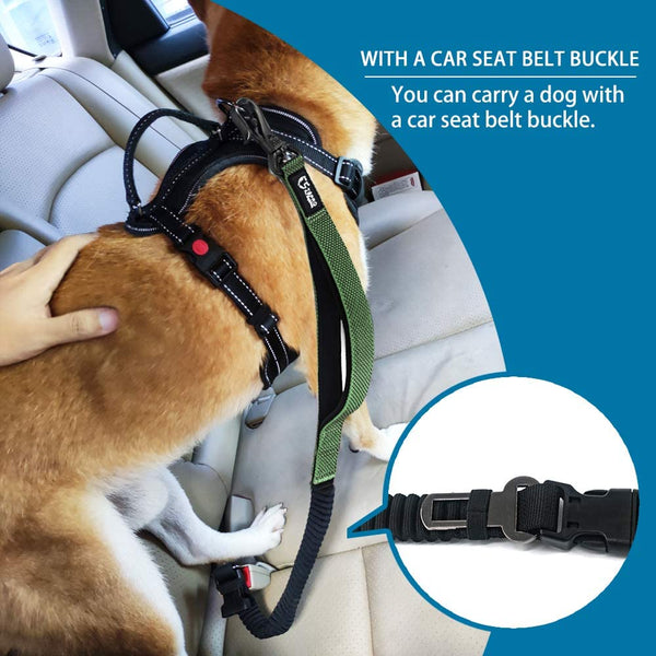 HKM-8640061 Explosion-Proof Dog Traction Rope, 6-in-1 Design, Nylon, 1.8m, Multiple Colors Available