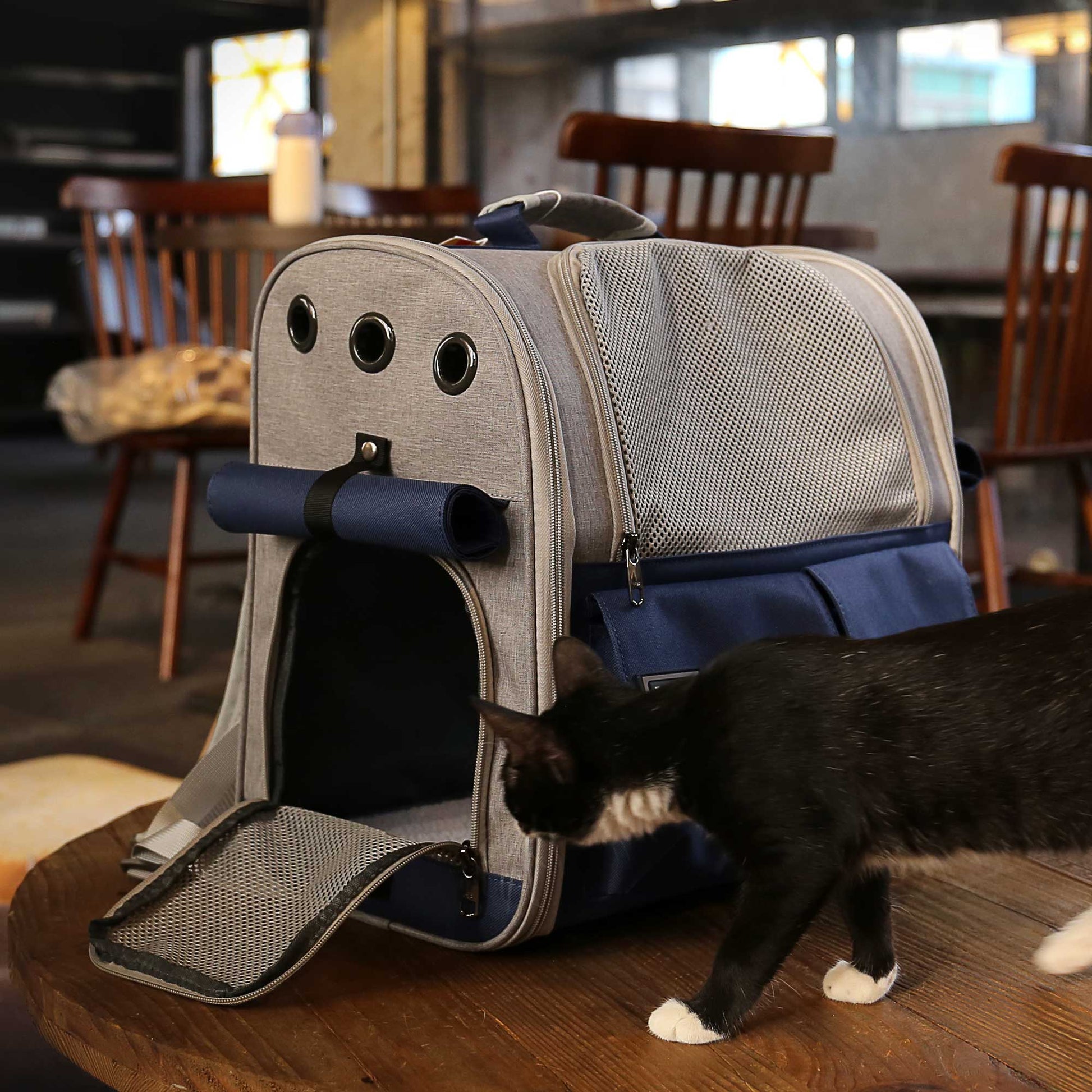 HKM-8647869 Stylish Foldable Soft Pet Carrier with Adjustable Ventilation for Dogs and Cats