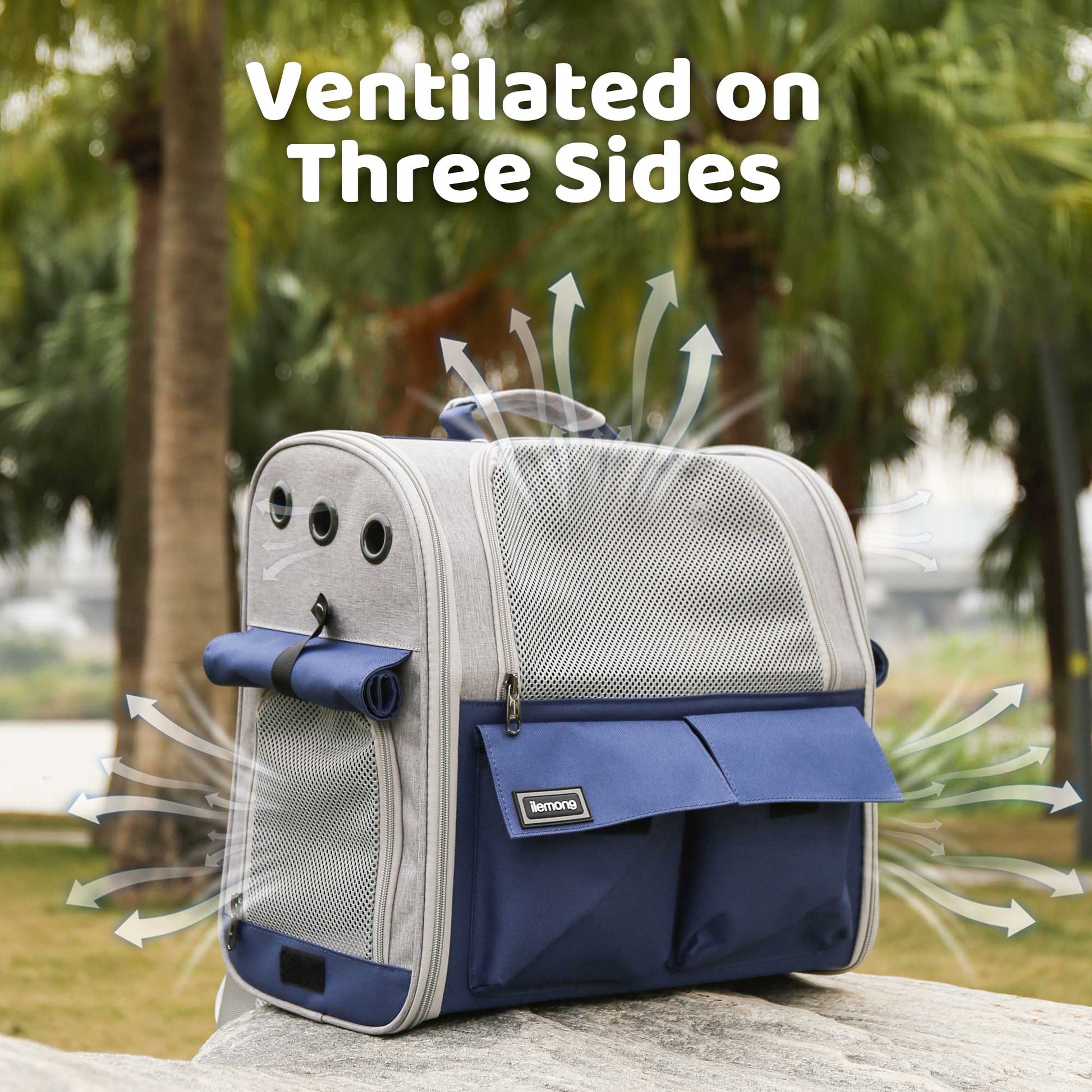 HKM-8647869 Stylish Foldable Soft Pet Carrier with Adjustable Ventilation for Dogs and Cats