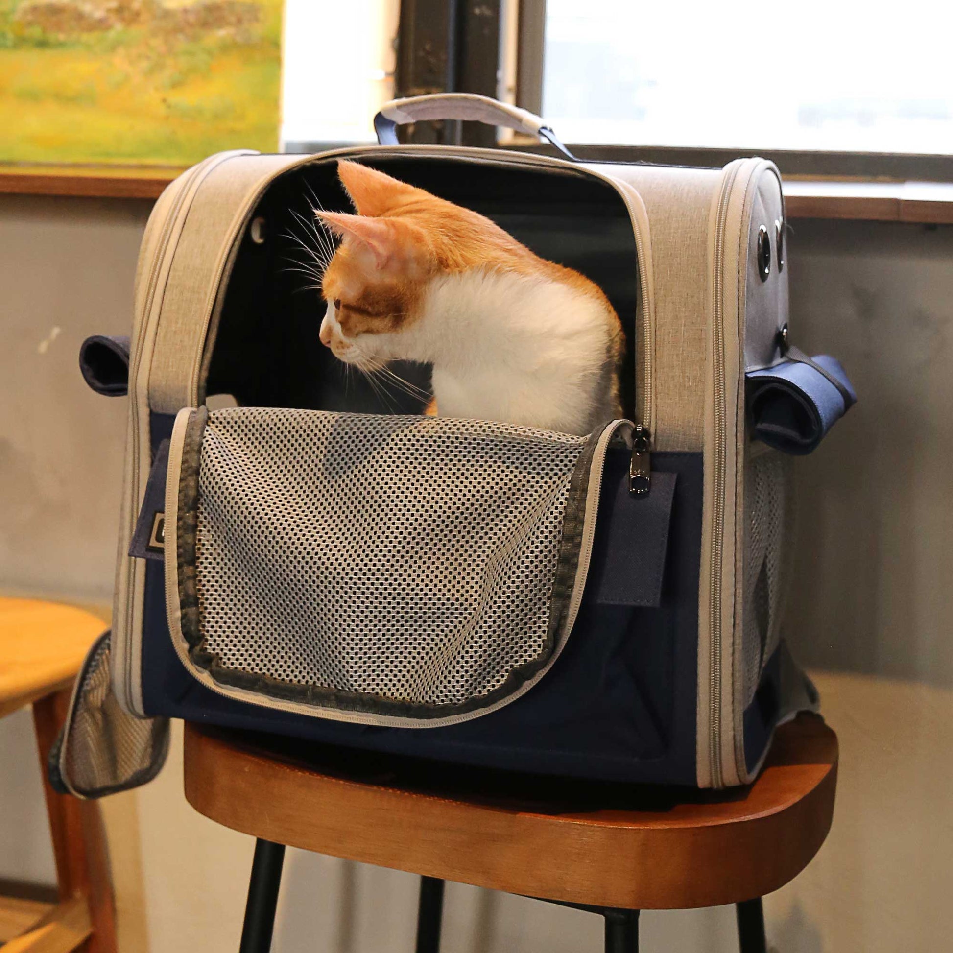 HKM-8647869 Stylish Foldable Soft Pet Carrier with Adjustable Ventilation for Dogs and Cats