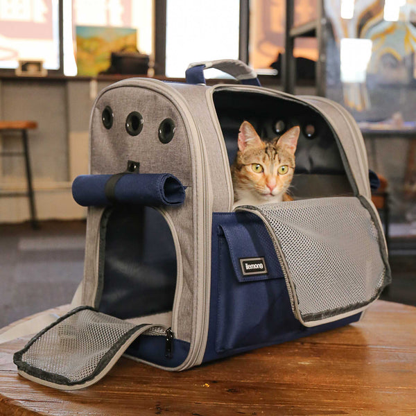 HKM-8647869 Stylish Foldable Soft Pet Carrier with Adjustable Ventilation for Dogs and Cats