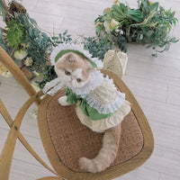 HKM-8653373 Lolita Style Dog and Cat Outfit with Matching Hat - Size Options Available
