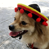 HKM-8655933 Mexican Style Pet Hat with Red Ball and Brown Lace - Seasonal Cloth Cap for Dogs