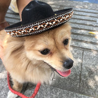 HKM-8655933 Mexican Style Pet Hat with Red Ball and Brown Lace - Seasonal Cloth Cap for Dogs