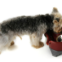 HKM-8657725 Double Basin Splash-Proof Pet Bowl Set - Stainless Steel Cat and Dog Food Dish