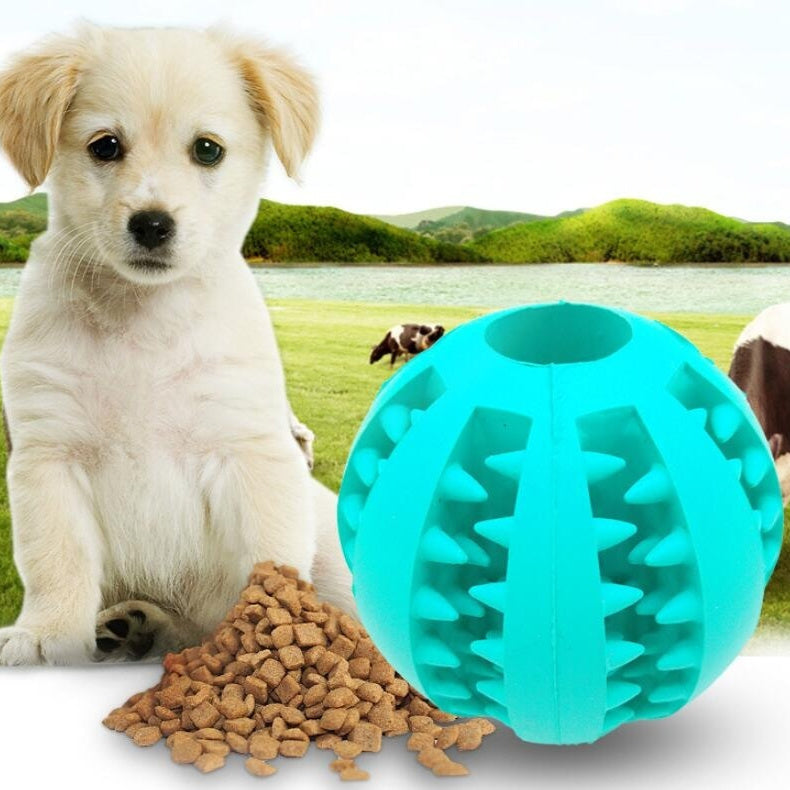 HKM-865875 Pet Slow Feeder Dog Toy Cute Funny Rubber Dog Ball Toy