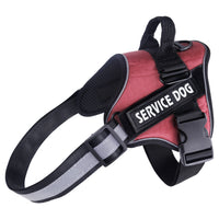HKM-8663357 Durable and Comfortable Pet Leash Chest Harness with Adjustable Fit