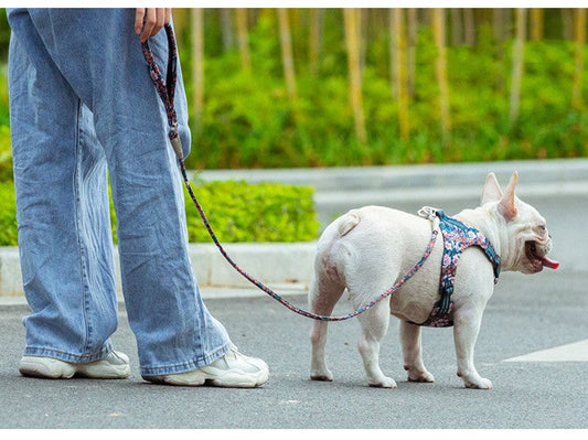 HKM-8667069 Floral Cotton Pet Dog Leash with Zinc Alloy Clips - Available in Blue and Red