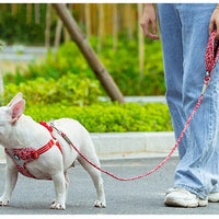 HKM-8667069 Floral Cotton Pet Dog Leash with Zinc Alloy Clips - Available in Blue and Red