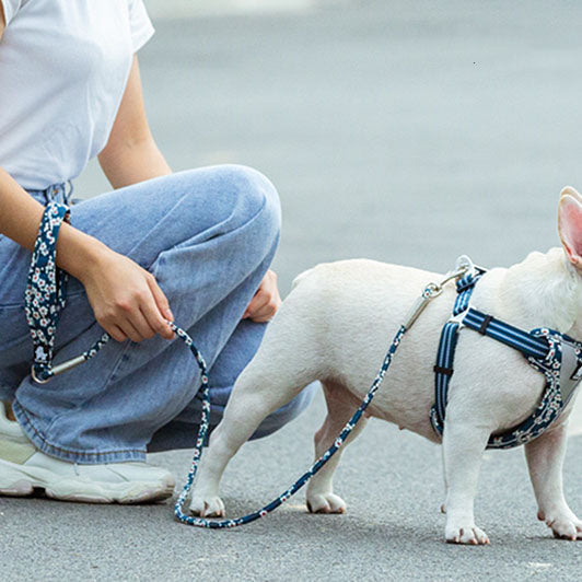 HKM-8667069 Floral Cotton Pet Dog Leash with Zinc Alloy Clips - Available in Blue and Red