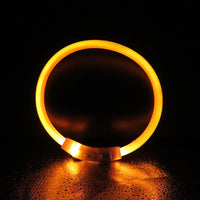 HKM-8669245 Luminous Anti-Lost Dog Collar with USB Charging - Adjustable Sizes S, M, L, Multiple Flash Modes