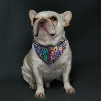 HKM-8673597 Gray Polyester Dog Scarf and Saliva Towel - Available in 3 Sizes: S, M, L
