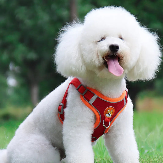 HKM-8674493 Adjustable No Pull Dog Harness and Leash Set for Small Dogs and Puppies with Reflective Strips