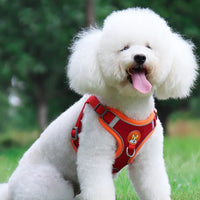 HKM-8674493 Adjustable No Pull Dog Harness and Leash Set for Small Dogs and Puppies with Reflective Strips