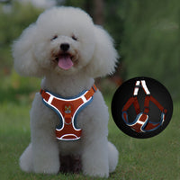 HKM-8674493 Adjustable No Pull Dog Harness and Leash Set for Small Dogs and Puppies with Reflective Strips