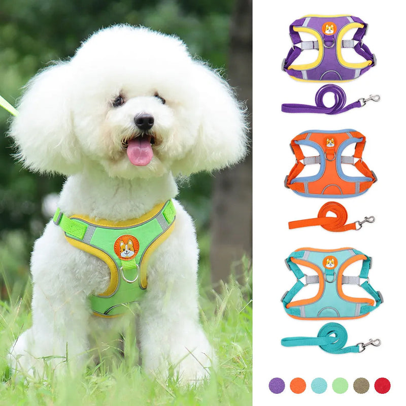 HKM-8674493 Adjustable No Pull Dog Harness and Leash Set for Small Dogs and Puppies with Reflective Strips