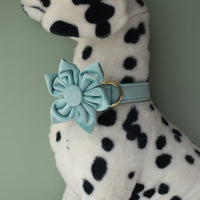 HKM-8680765 Lake Green Velvet Flannel Dog Collar Set with Gold Buckles, Bow and Flower Accessories - Available in Sizes S to XL
