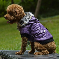 HKM-8682941 Medium Autumn & Winter Dog Coat with Fur Collar - Breathable, Comfortable Pet Clothing