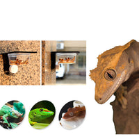 HKM-8684733 Multifunctional Wall-Mounted Pet Water Basin with Adjustable Installation Options