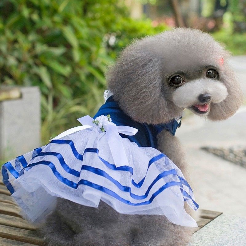 HKM-8686141 Spring and Summer Lightweight Dress for Small Dogs - Princess Style, Multiple Sizes Available