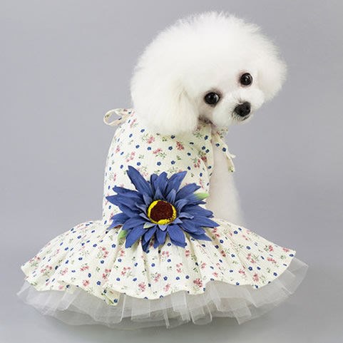 HKM-8686141 Spring and Summer Lightweight Dress for Small Dogs - Princess Style, Multiple Sizes Available