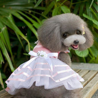 HKM-8686141 Spring and Summer Lightweight Dress for Small Dogs - Princess Style, Multiple Sizes Available
