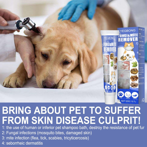 HKM-8686397 Pet Anti-Mite Cream for Dogs - Relieves Itching and Dry Skin with Chamomile and Sophora Flavescens, 20g