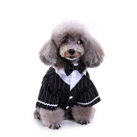HKM-868947 Stylish Dog Apparel in Various Sizes - Polyester Fabric, Comfortable Fit