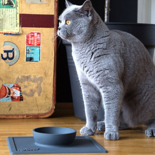 HKM-8690493 Silicone Anti-Splash Pet Bowl with Strong Suction Base, Food Grade Material