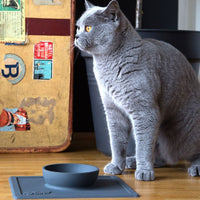 HKM-8690493 Silicone Anti-Splash Pet Bowl with Strong Suction Base, Food Grade Material