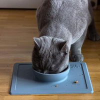 HKM-8690493 Silicone Anti-Splash Pet Bowl with Strong Suction Base, Food Grade Material