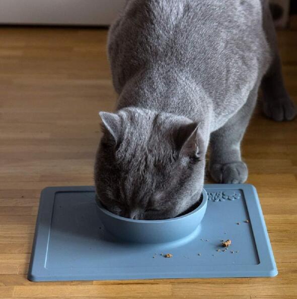 HKM-8690493 Silicone Anti-Splash Pet Bowl with Strong Suction Base, Food Grade Material