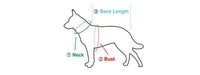 HKM-8690877 Warm Cartoon Dog Vest with Zipper and Traction Hole in Various Colors and Sizes