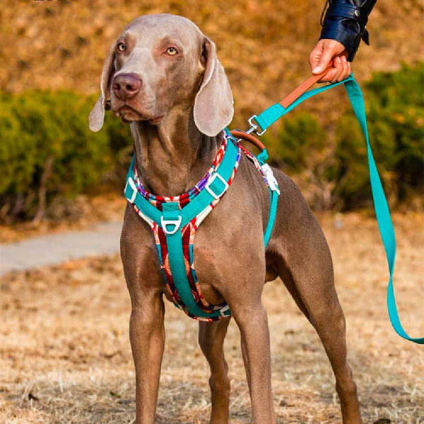 HKM-8693565 Dog Chest Strap for Medium and Large Breeds - Adjustable, Summer-Friendly Harness Available in Multiple Colors and Sizes
