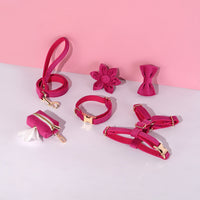 HKM-869587 Fashionable Pet Collar Set with Bow, Lead Rope, Poop Bag, and Flower Accessory