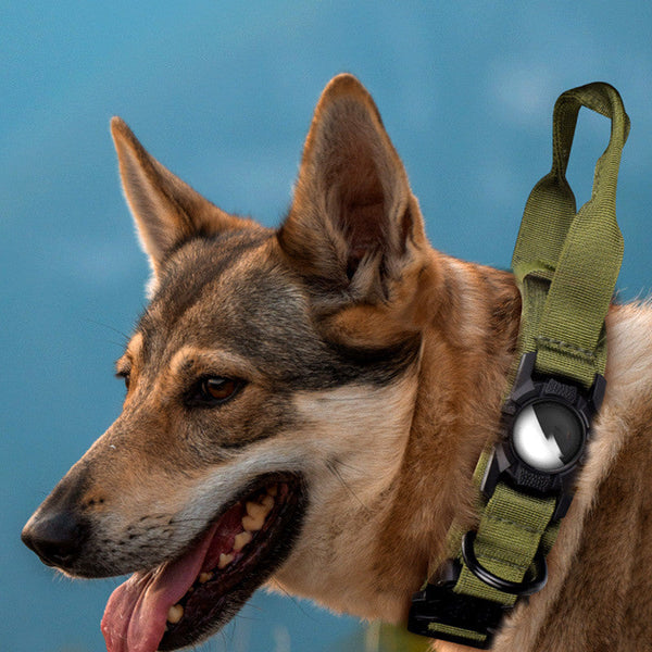 HKM-8702013 Protective Dog Collar with AirTag Positioner in Multiple Colors
