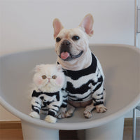 HKM-870611 Cozy Black Mink Sweater for Dogs - Autumn & Winter Fashion