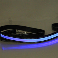 HKM-8707773 Solar LED Light-Up Dog Collar with USB Rechargeable Feature, Multiple Colors Available